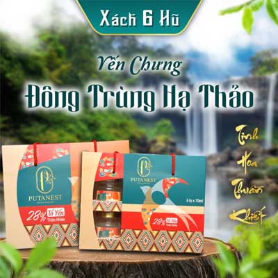 Xách 6 Hũ Yến Chưng Cao Cấp Đông Trùng Hạ Thảo 28%